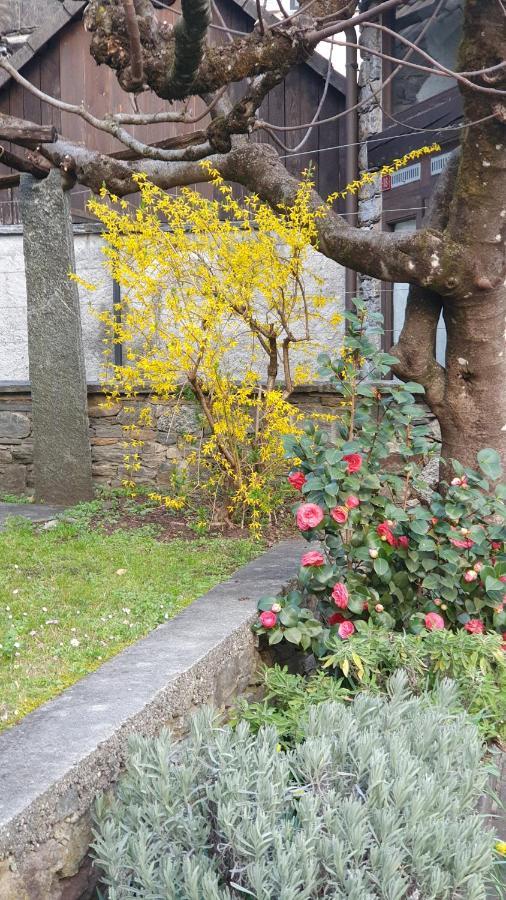 Villa Rustico Pult Someo Esterno foto