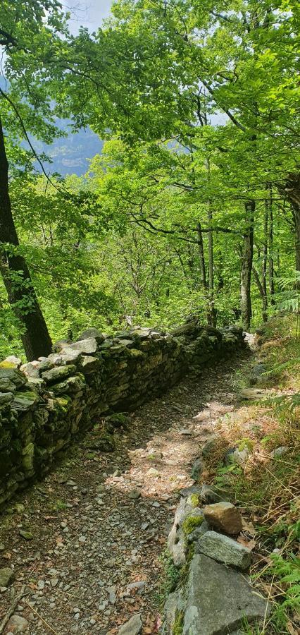 Villa Rustico Pult Someo Esterno foto